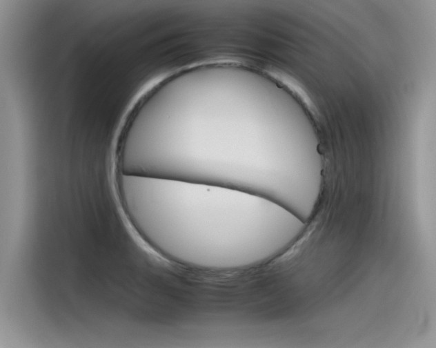 X0000115781135200911131001