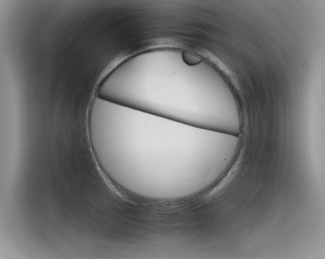 X0000115781137200911131001
