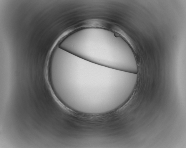 X0000115781139200911131001