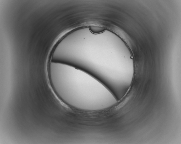 X0000115781141200911131001
