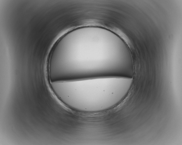 X0000115781142200911131001