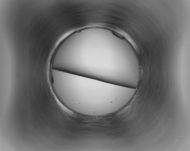 X0000115781143200911131001