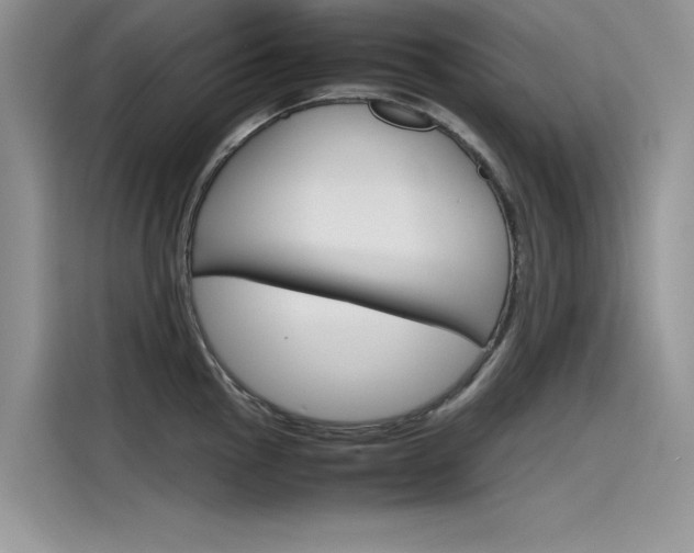 X0000115781145200911131001