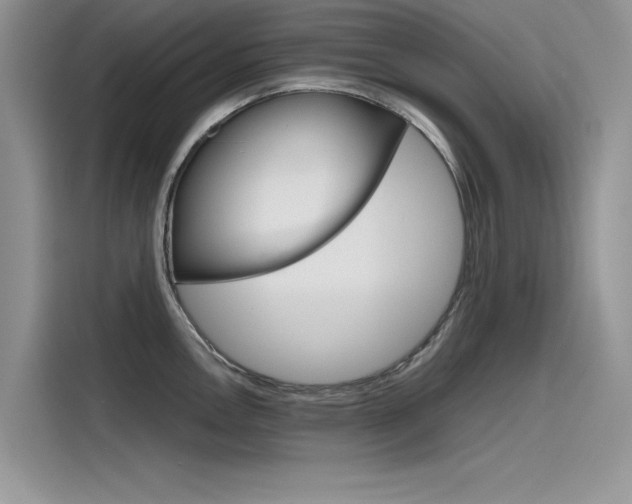 X0000115781146200911131001