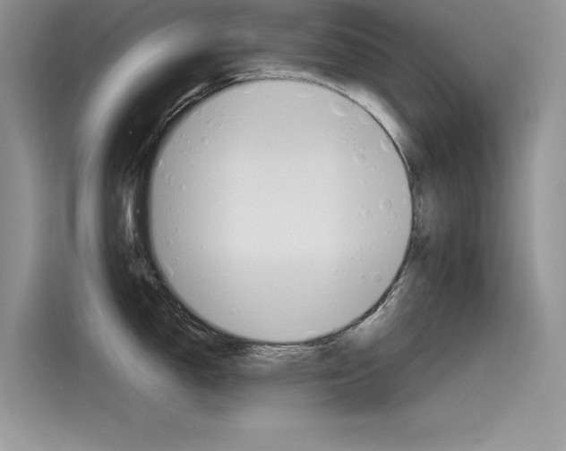X0000115781150200911131001