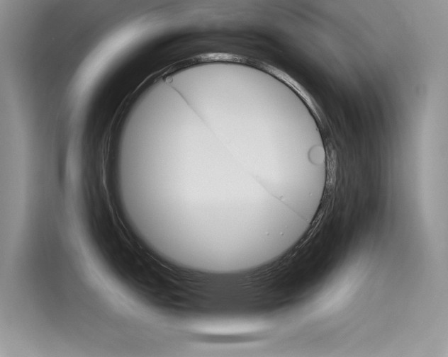 X0000115781151200911131001