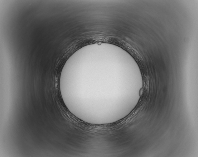 X0000115781154200911131000