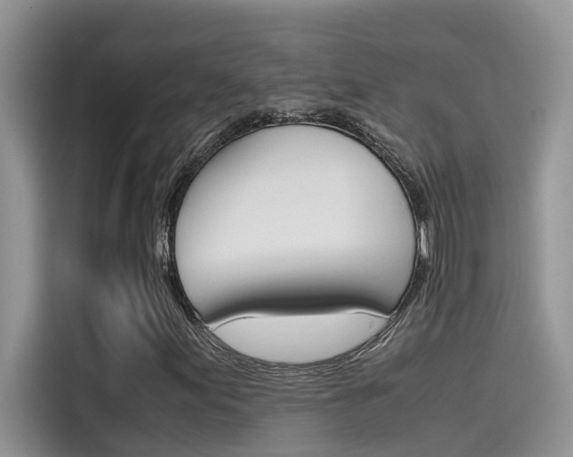 X0000115781155200911131000