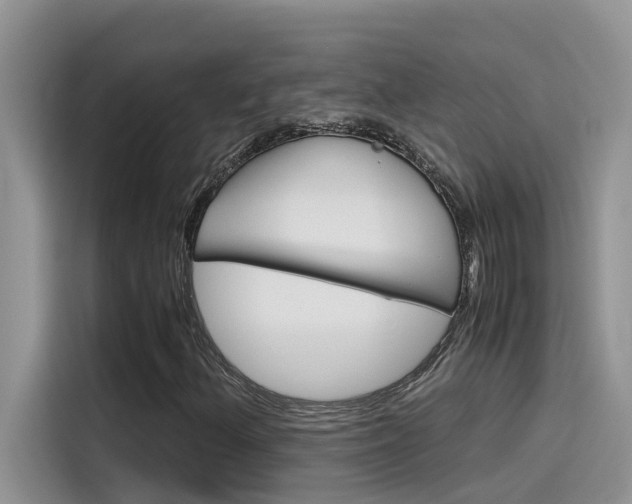 X0000115781156200911131000