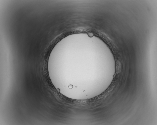 X0000115781158200911131000