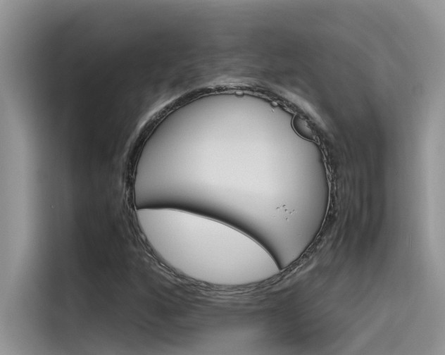 X0000115781160200911131000