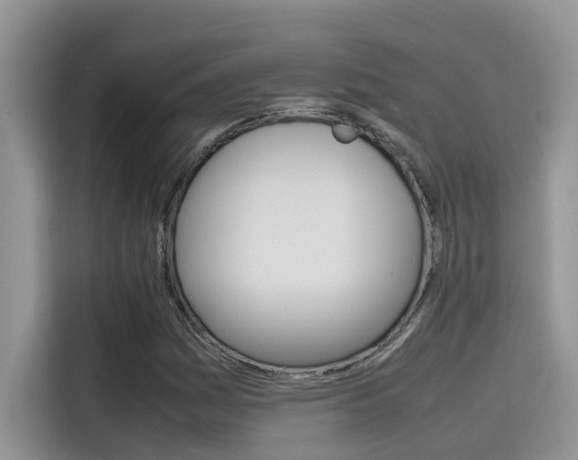 X0000115781161200911131000