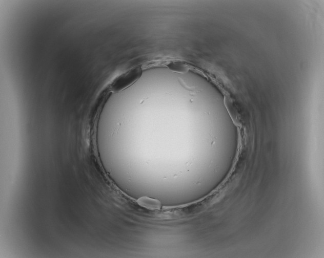 X0000115781165200911131000