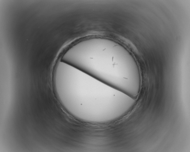 X0000115781168200911131000