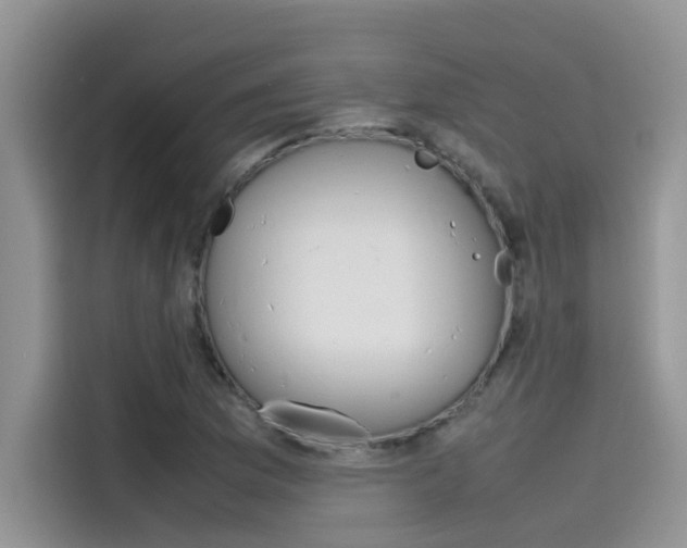 X0000115781169200911131000