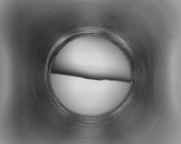 X0000115781172200911131000