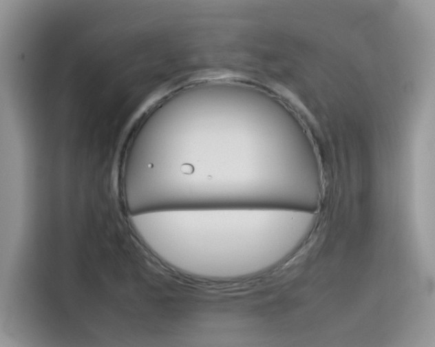 X0000115781173200911131000