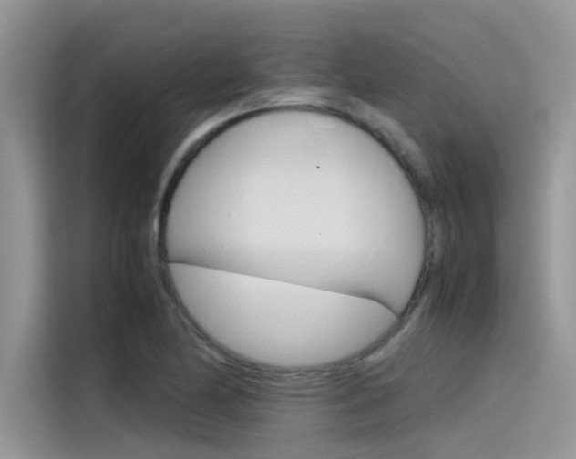 X0000115781174200911131000