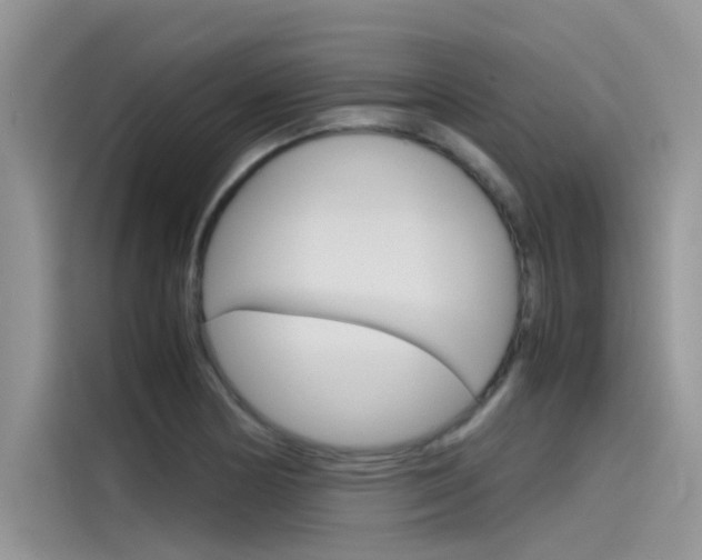X0000115781178200911131000