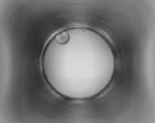 X0000115781182200911131000