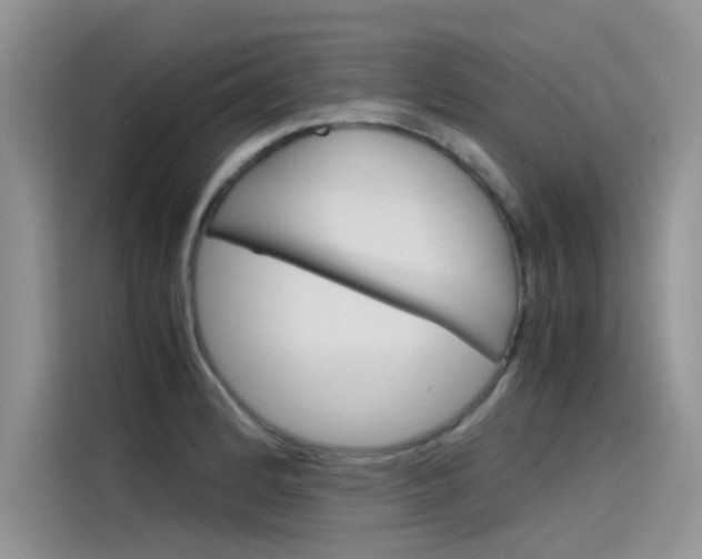 X0000115781184200911131000