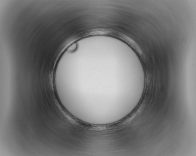 X0000115781186200911131000