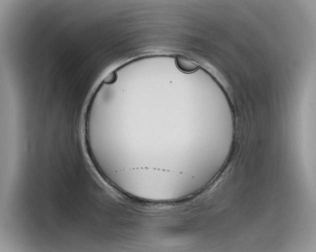X0000115781187200911131000