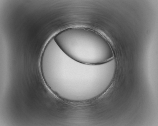 X0000115781189200911131000