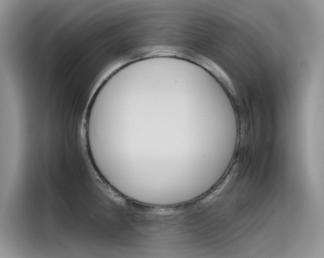 X0000115781190200911131000