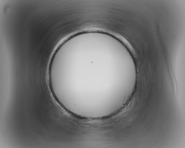 X0000115781191200911131000