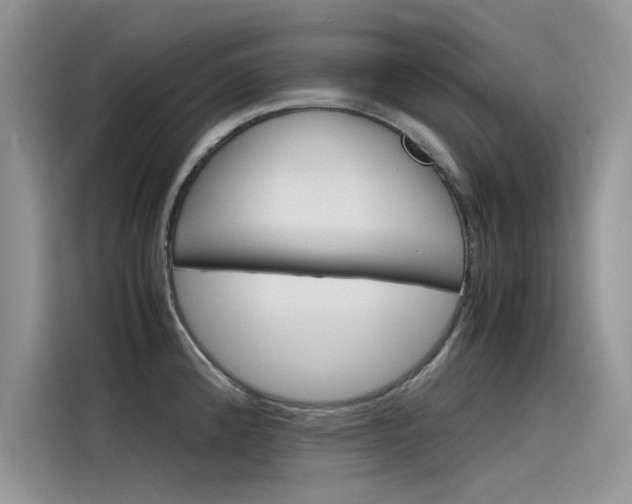 X0000115781192200911131000