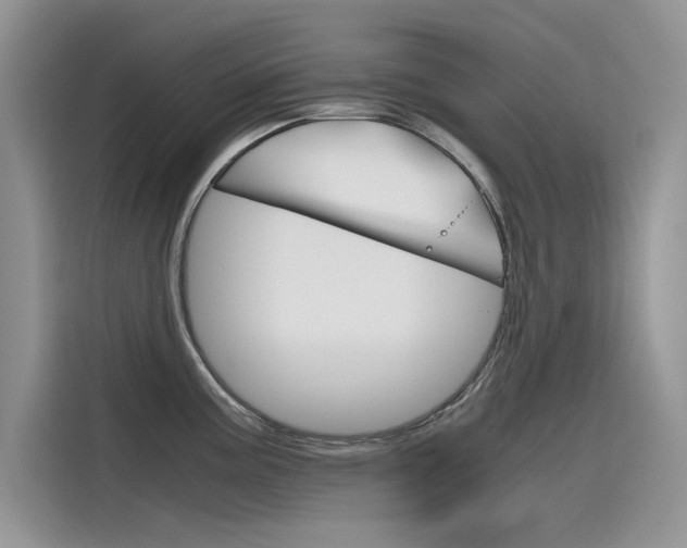 X0000115781195200911131000