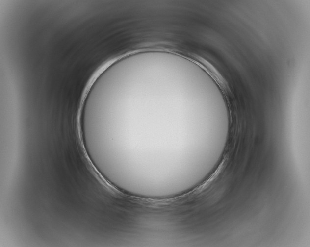X0000115781196200911131000