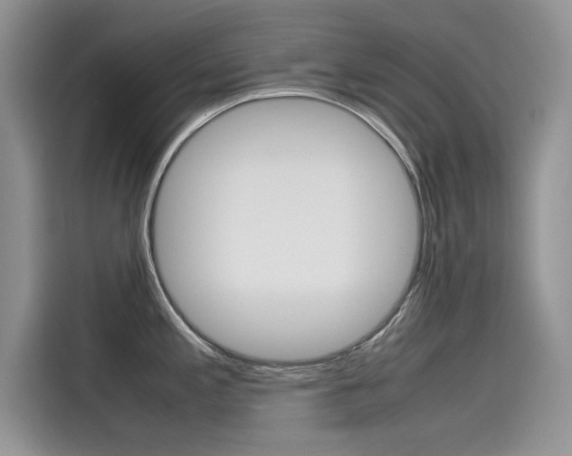 X0000115781197200911131000