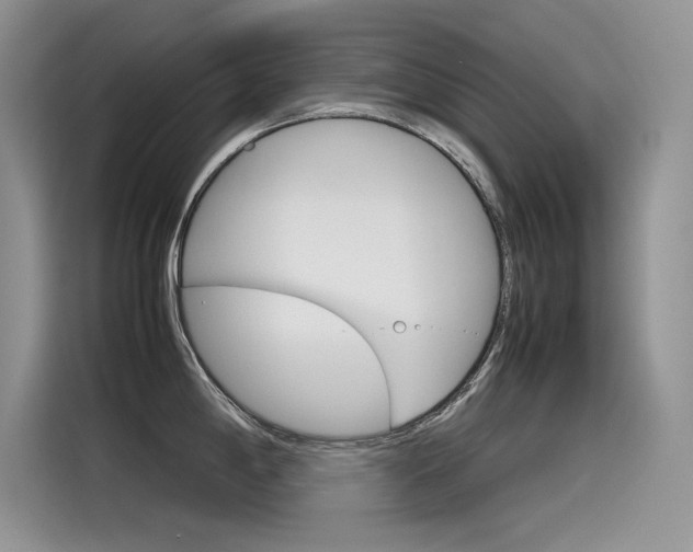 X0000115781198200911131000