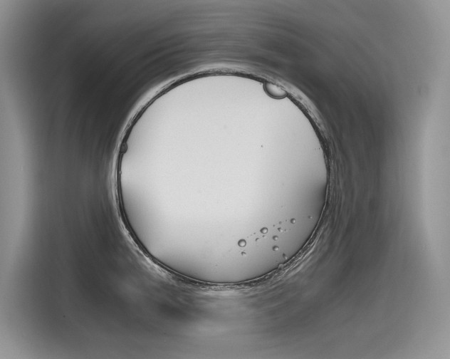 X0000115781199200911131000