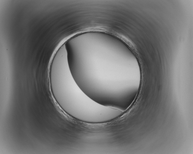 X0000115781200200911131000
