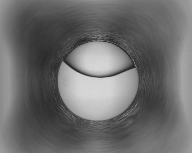 X0000115781202200911130959