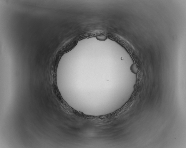 X0000115781207200911130959