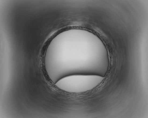 X0000115781208200911130959