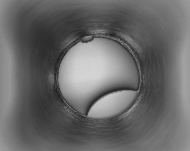 X0000115781209200911130959