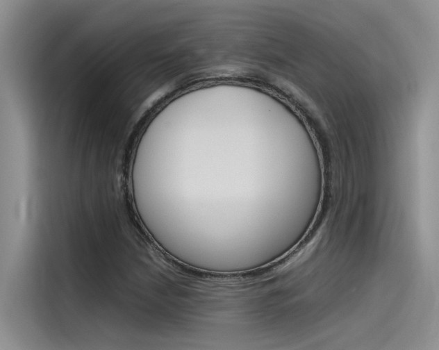 X0000115781210200911130959