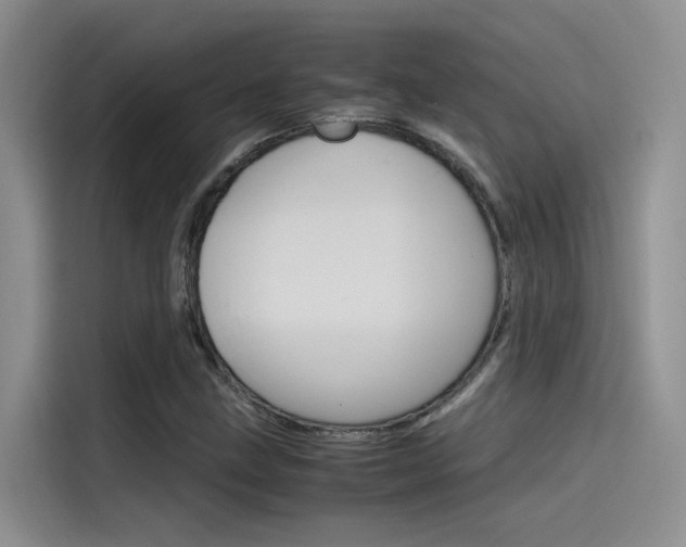 X0000115781211200911130959