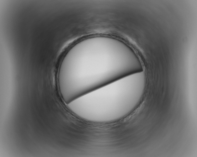 X0000115781214200911130959