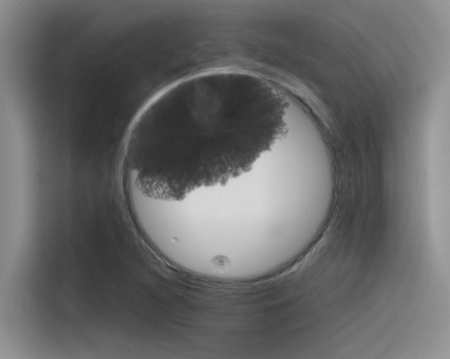 X0000115781216200911130959