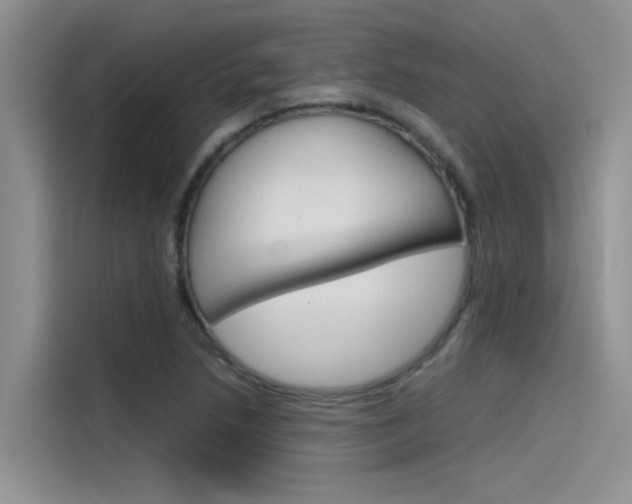 X0000115781218200911130959