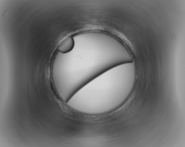 X0000115781220200911130959