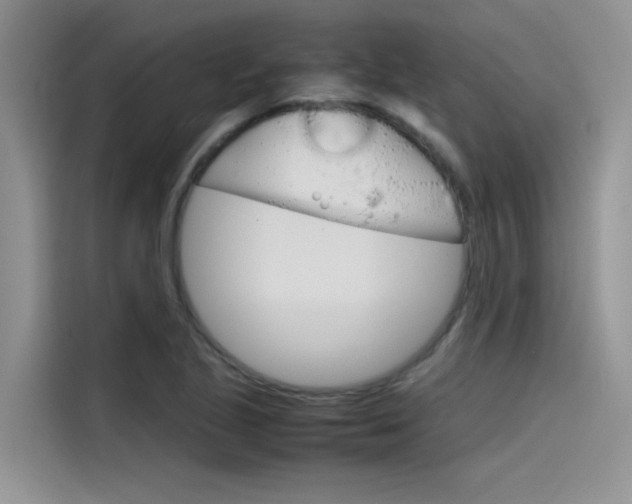 X0000115781221200911130959