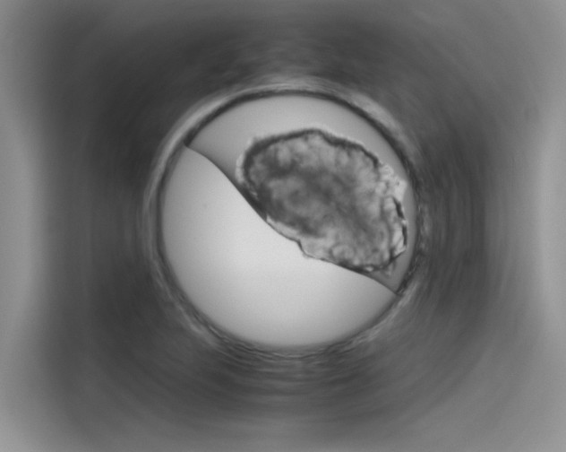 X0000115781223200911130959