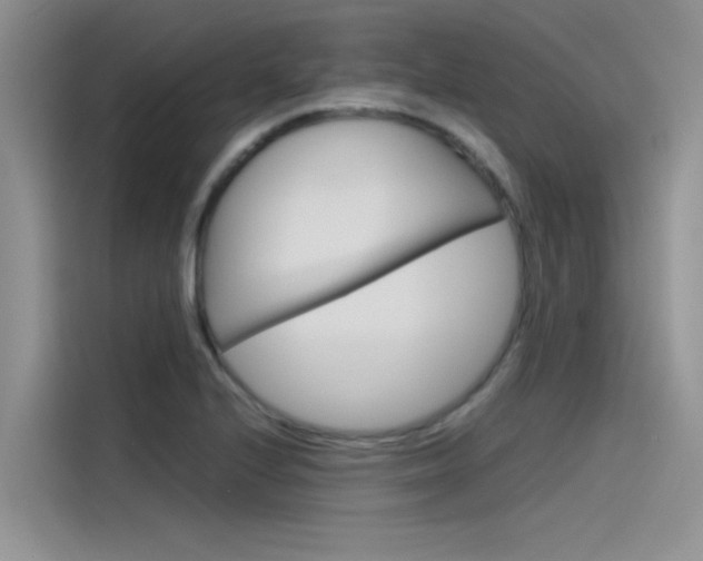 X0000115781224200911130959